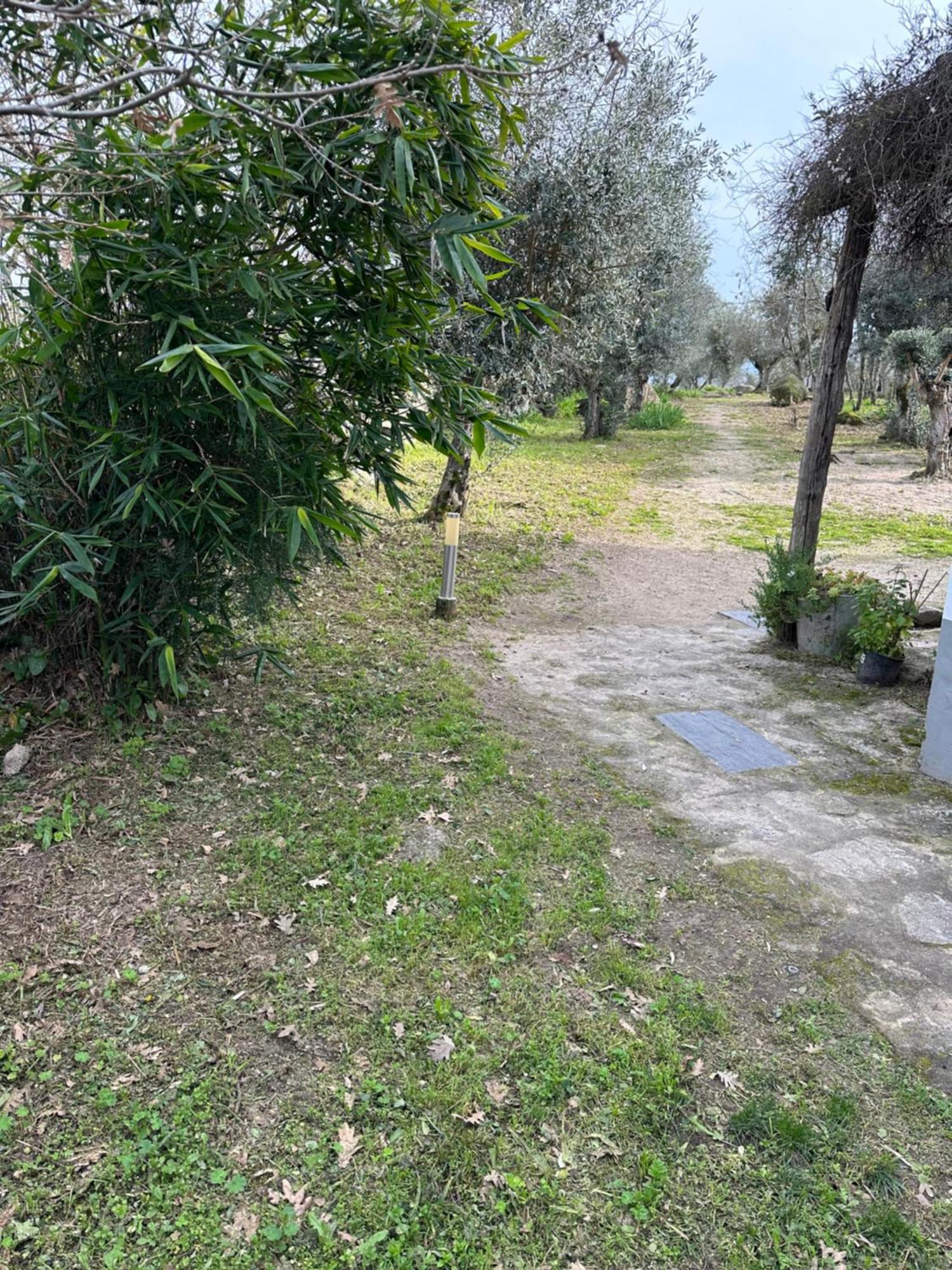 Monte Das Mariolas كاستيلو دي فيدي المظهر الخارجي الصورة